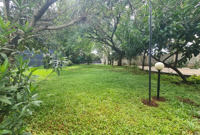 1 Bed Apartment with Borehole at Hurlingham - 3