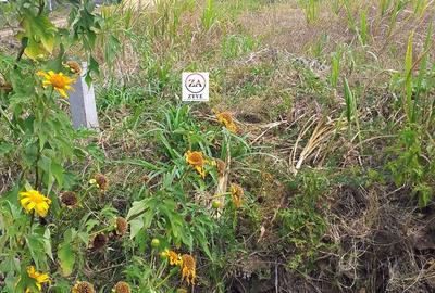 0.125 ac Land at Njomoko - 2