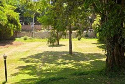 Commercial Property with Fibre Internet at Lavington Green