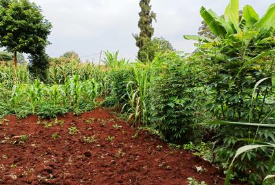 0.5 ac Residential Land in Nyari