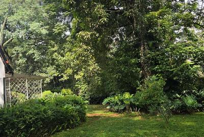 2 Bed Apartment with Backup Generator in Rosslyn