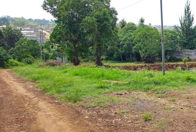 0.5 ac Land in Thome - 2