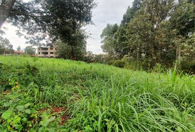 0.5 ac Land at Ruaka Town - 3