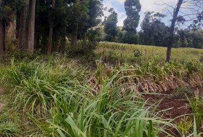 Land at Kibirichia