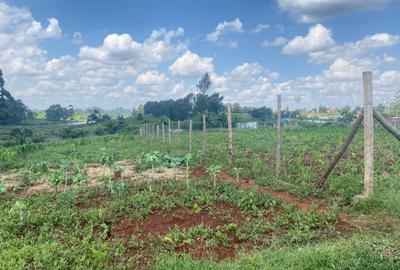 Land at Runda Panafric - 2