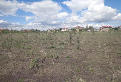 4.75 ac Land at Parliament Rd - 3