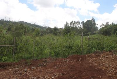 0.10 ac Residential Land at Lemiso Road - Kibiko - 2