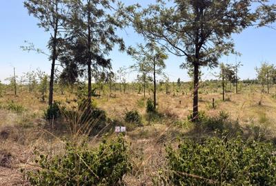 2,023 ac Warehouse at Ruiru-Githunguri Road - 2