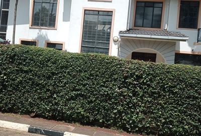 4 Bed Townhouse with En Suite at Lavington