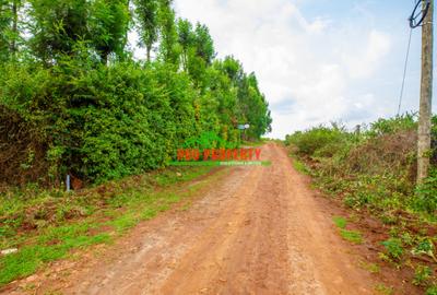 0.05 ha Residential Land at Ondiri - 3