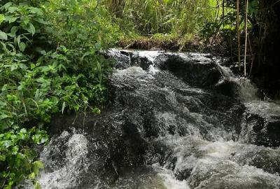 5 Bed House with Staff Quarters in Tigoni - 4