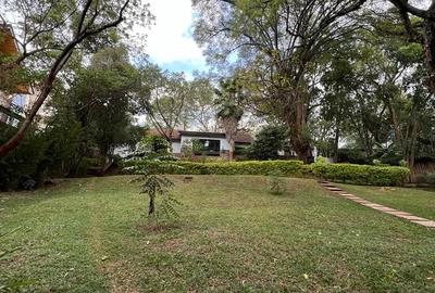 Commercial Property with Fibre Internet in Lavington