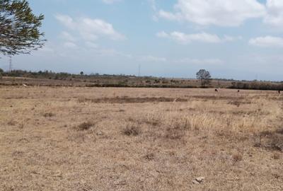 3 ac Land in Naivasha - 4