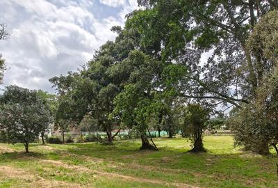 1 ac Land in Karen