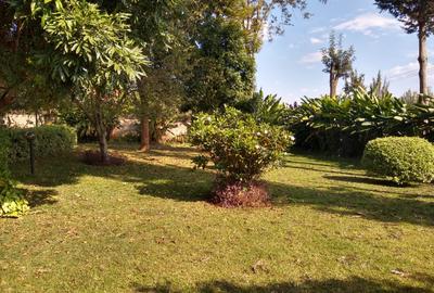 4 Bed House with En Suite at - 2