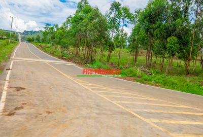 0.05 ha Residential Land at Nduiguine - 3