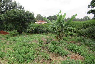 Residential Land at Mushroom Gardens