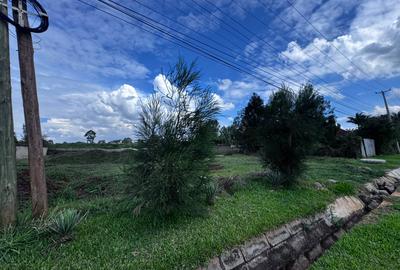 0.5 ac Land in Runda - 4