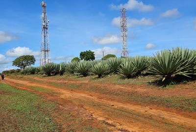 Land at Shariani