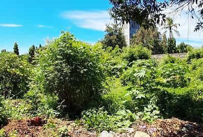 Land at Diani Beach Rd - 3