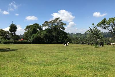 21 ac Land in Cianda - 3