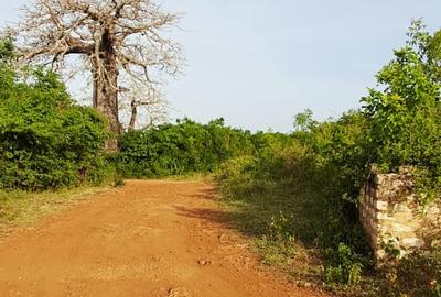 Land in Diani - 4