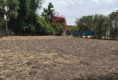 0.25 ac Land in Ruai - 4