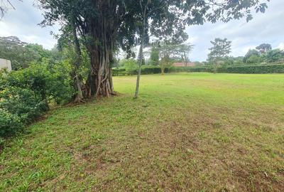 Warehouse at Hardy Area - 3