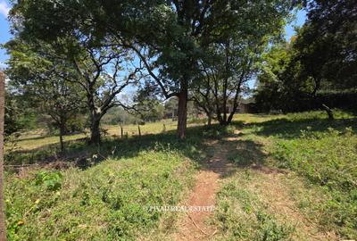 20 ac Land in Karen - 3