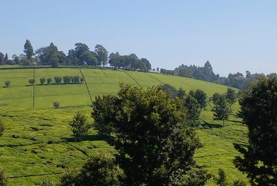 5 ac Land at Tigoni - 4