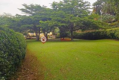 Land in Lavington