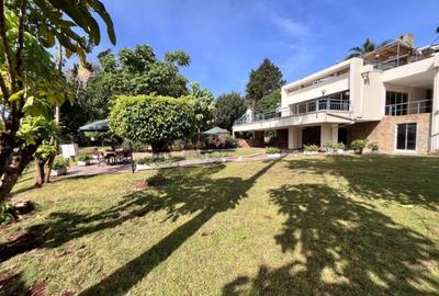 Commercial Property with Backup Generator in Lavington