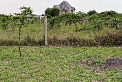 0.045 ha Land at Acacia Road - 4