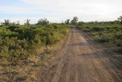 Land at Naivasha Town