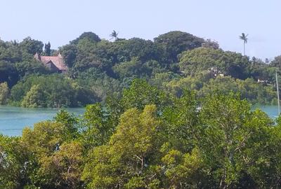 3 ac Land at Marina - Mtwapa Creek - 4