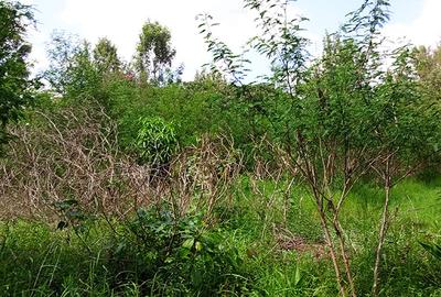 0.5 ac Residential Land in Thome - 4