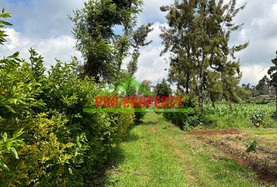 0.4 ha Land at Tilisi - 4