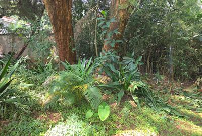 1.25 ac Land at Tate Close - 4