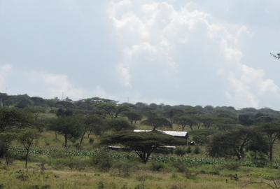 5 ac Land at Oloilalei - 4