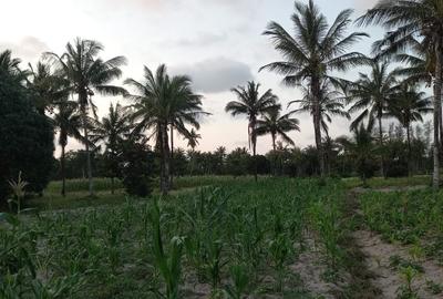 12 ac Commercial Land at Bomani Area - 4