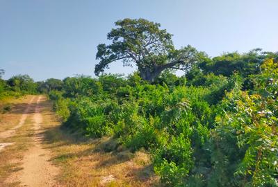 20 ac Land at Kuruwitu Beach Road - 4
