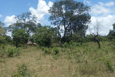 40 ac Residential Land in Kilifi - 3