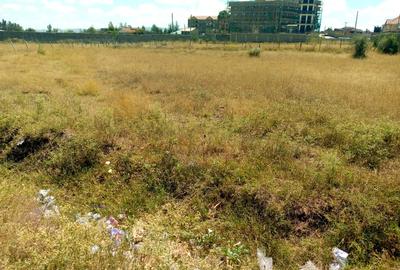 Residential Land at Chuna - 3