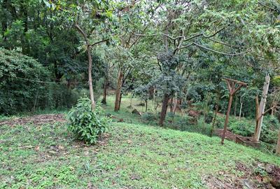 4 Bed House in Runda - 3
