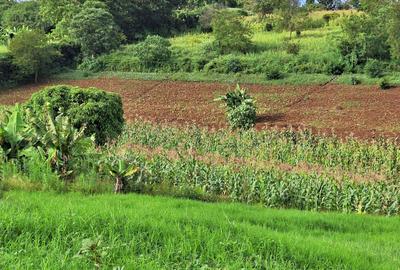 1 ac Residential Land at Tigoni - 3