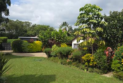 1 Bed House with En Suite in Spring Valley - 3