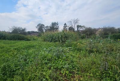 0.365 ac Land at Mushroom Road - 4