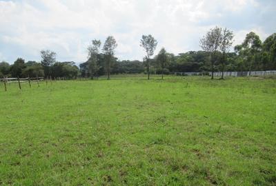Residential Land at Ololua Ridge - 2