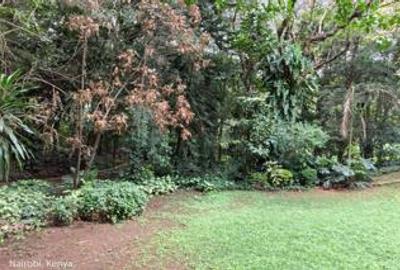 0.75 ac Land at Near The Junction Mall - 2