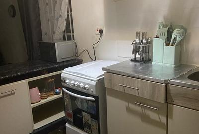 Furnished 1 Bed Apartment with Borehole at Raphta Road - 3